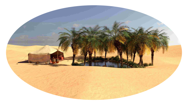 WordPress Booking Theme